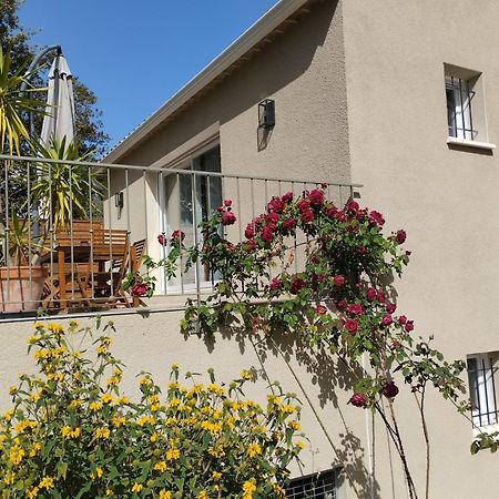 Charmante Maison Avec Jardin Aux Portes Des Gorges De L'Ardeche Saint-Julien-de-Peyrolas Esterno foto