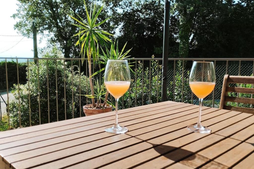 Charmante Maison Avec Jardin Aux Portes Des Gorges De L'Ardeche Saint-Julien-de-Peyrolas Esterno foto